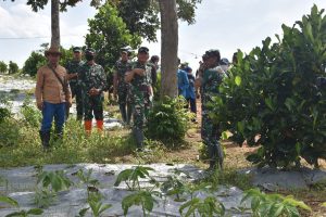 WhatsApp Image 2021-12-20 at 16.11.48 (1)