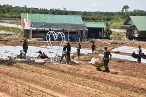 WhatsApp Image 2021-12-20 at 16.11.48