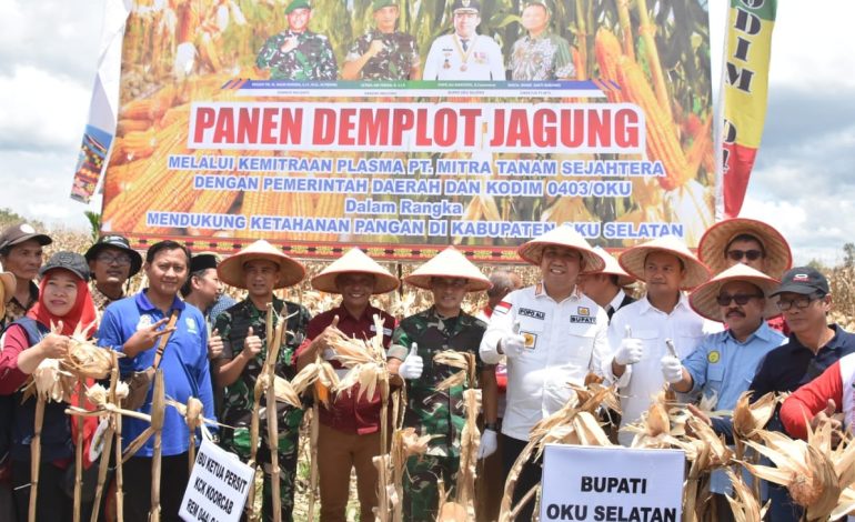 Dukung Ketahanan Pangan di OKU Selatan, Danrem 044/Gapo Hadiri Panen Jagung